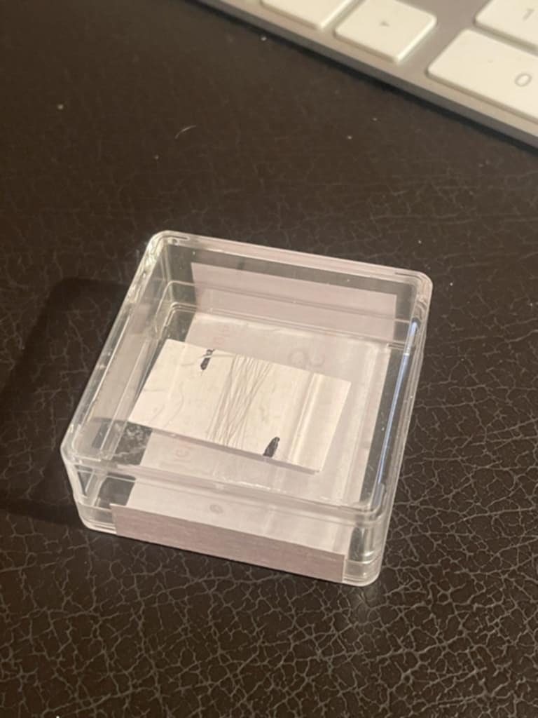 Nickel wire classe 1 